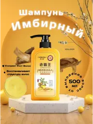 Ginger Nourishing Shampoo, 500 ml #1