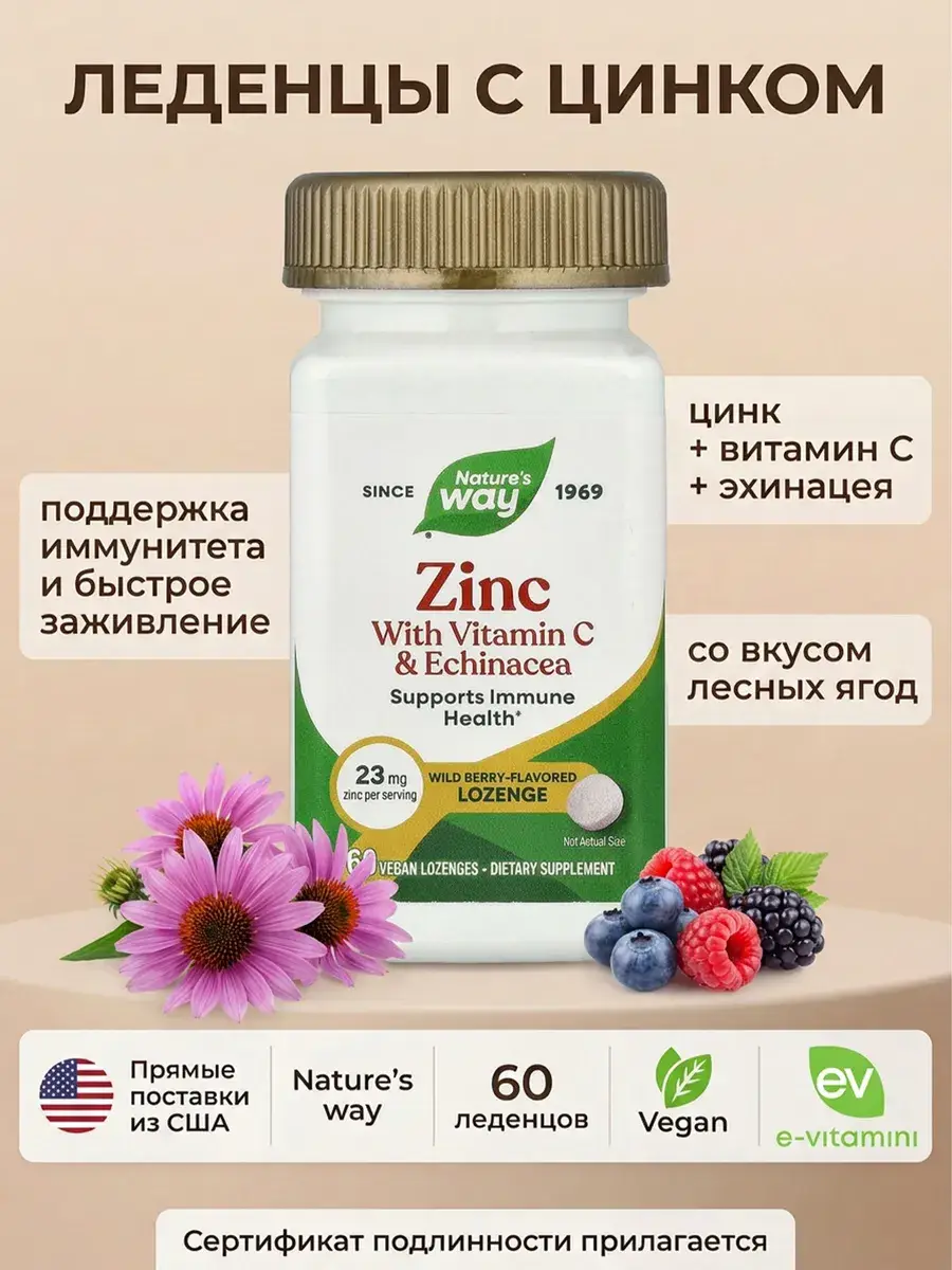 Nature's Way Zinc 60 Vegan Lozenges