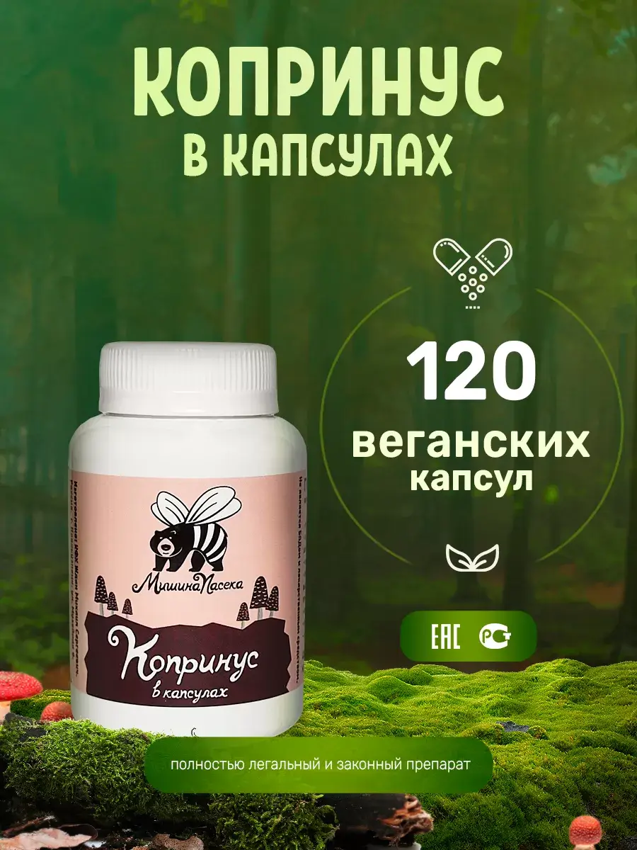 Mishina Paseka Coprinus Capsules 120 Pack 500 mg, 120 Count