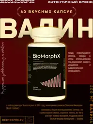BioMorphX L-Valine Vegetarian Capsules, 60 Capsules 250 mg, 60 Count #1
