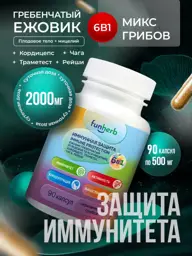 FunHerb 6-in-1 Mushroom Blend Capsules, 90 Pack #1