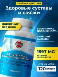 Dr.Mybo Glucosamine + Chondroitin + MSM Capsules, 120 pcs #1