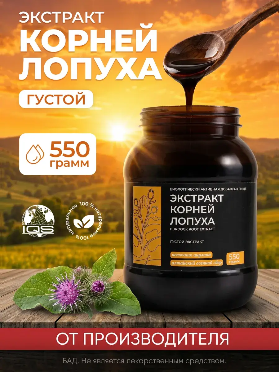 Burdock Root Extract Thick Liquid 550 g
