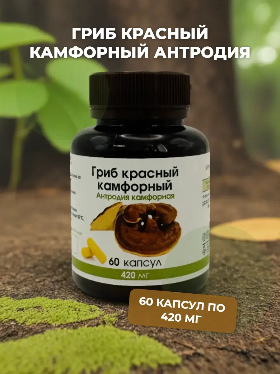 Dlya Zdorovya Antrodia Camphor Mushroom Capsules 60 Count