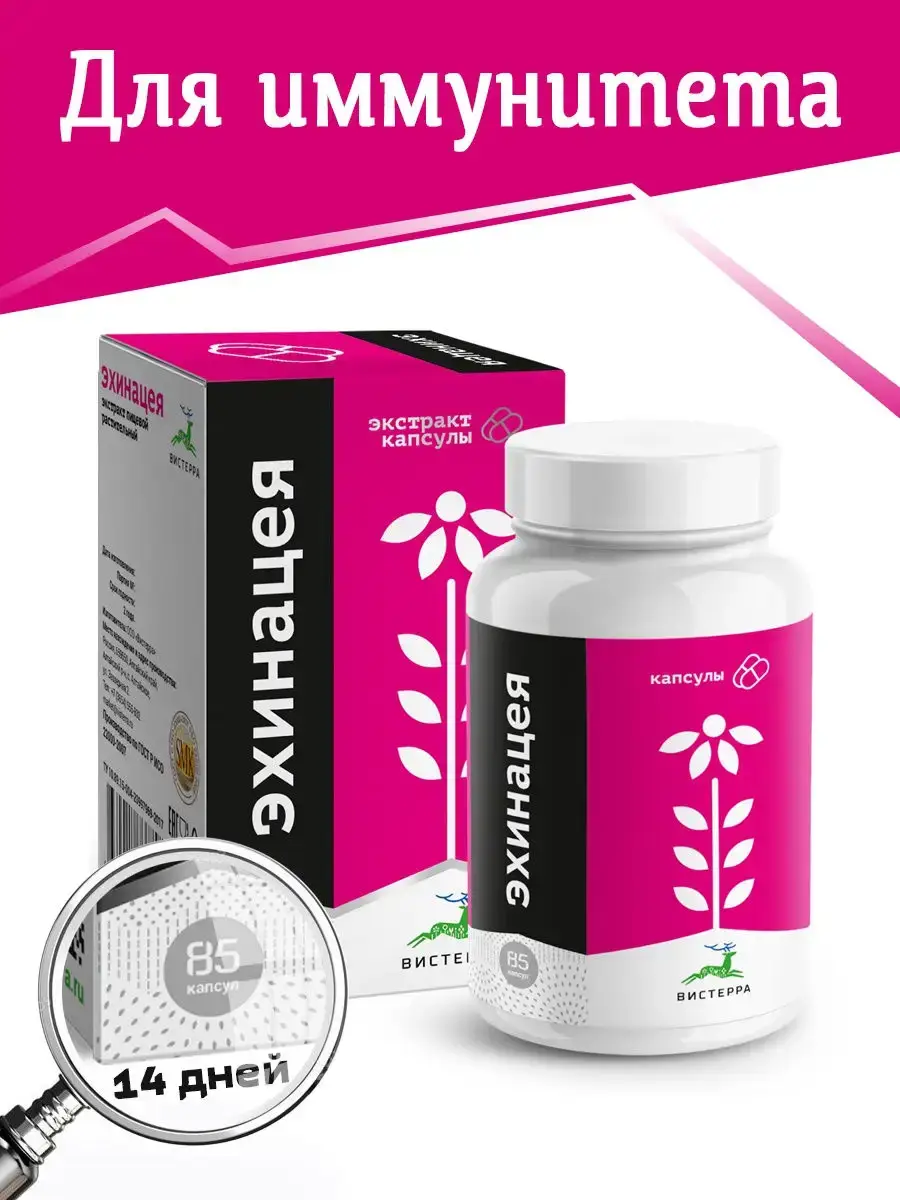Visterra Echinacea Extract Capsules 500 mg