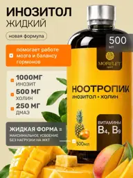 Morelet Liquid Nootropic with Inositol Choline and DMAE 500 ml #1