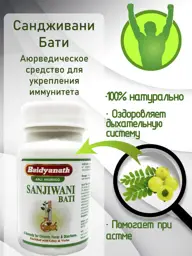 Baidyanath Sanjiwani Bati Tablets, 80 Tablets #1