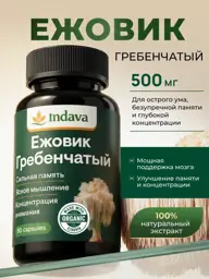 Lion's Mane Mushroom Extract Capsules, 90 Capsules, 500 mg #1