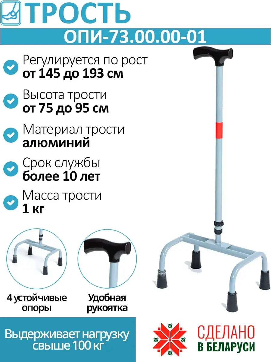 R PL 5 OP-73.00.00 Four-Leg Walking Cane, 75 cm, Grey/Black