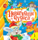 Новогодние чудеса | New Year Miracles