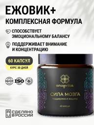 Amazonica Brain Power Mushroom Extract Capsules, 120 ml, 60 Count #1