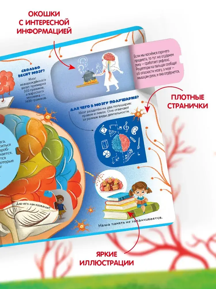Секреты тела человека фото книги 3