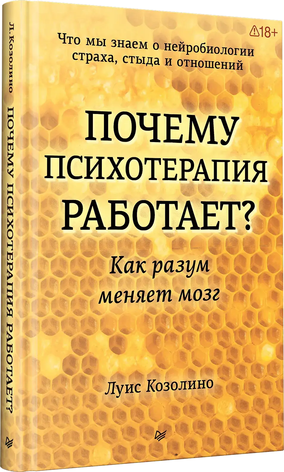 Почему психотерапия работает. Как разум меняет мозг фото книги 2