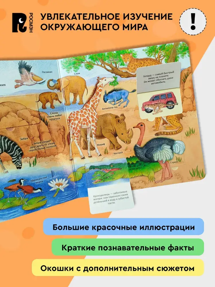 Удивительные животные. Энциклопедия с окошками фото книги 2
