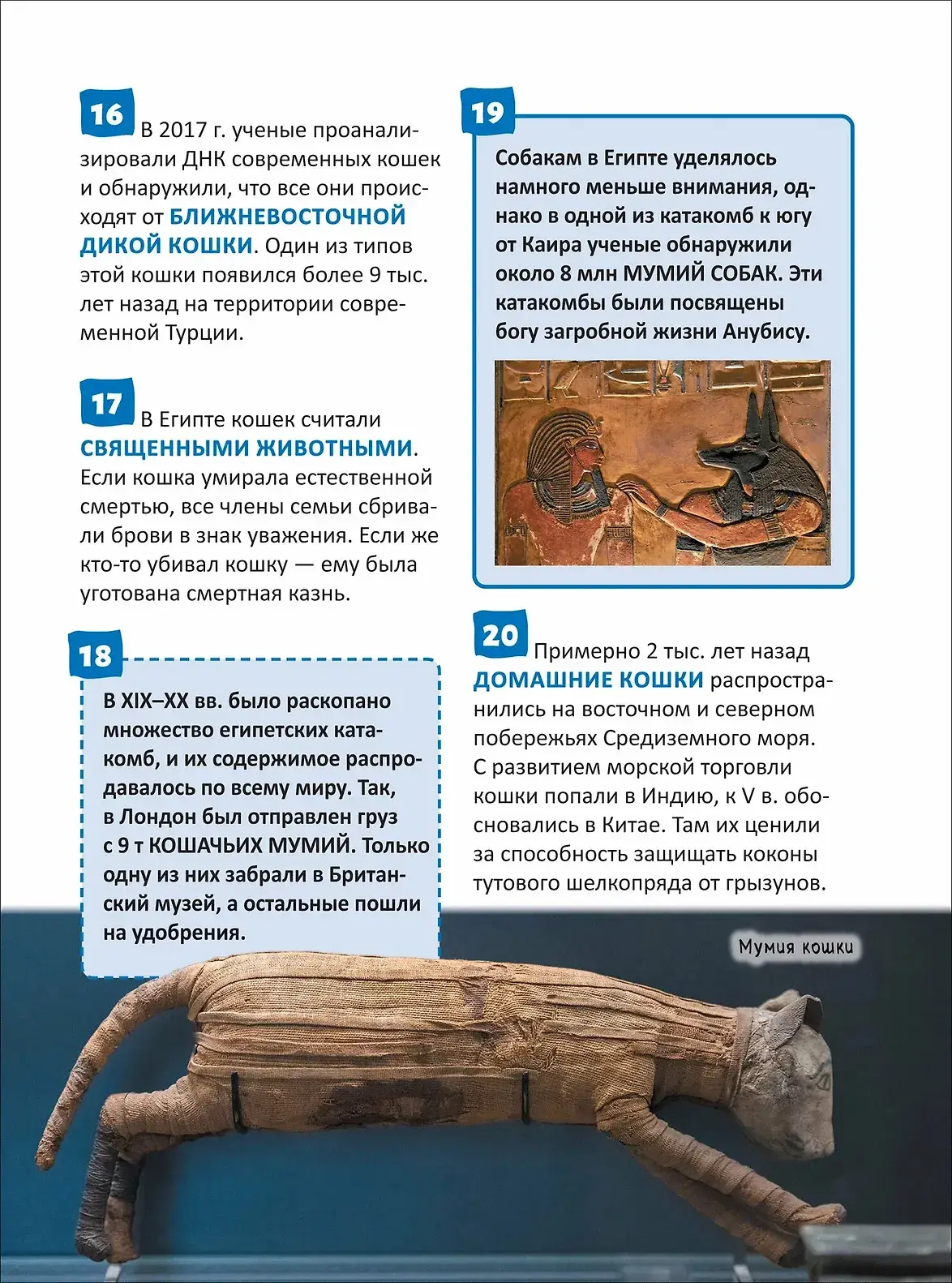Кошки и собаки. Энциклопедия российского школьника фото книги 3