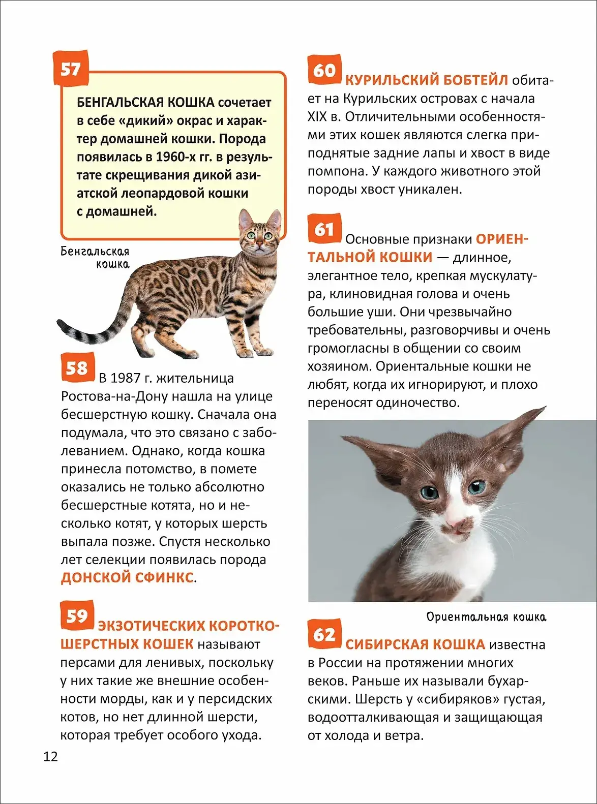 Кошки и собаки. Энциклопедия российского школьника фото книги 4