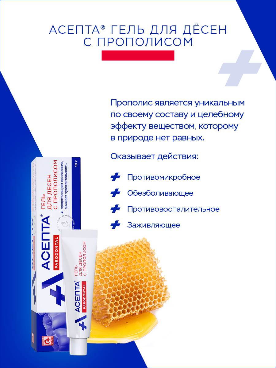 Asepta Propolis Gum Gel for Inflammation Relief, Microflora Support, and Sensitivity Reduction – 10g #4