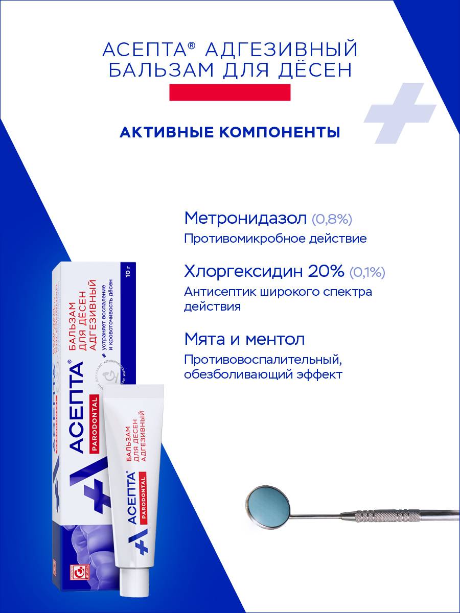 Asepta Adhesive Gum Balm for Inflammation, Bleeding Gums, and Bad Breath, 10g #4