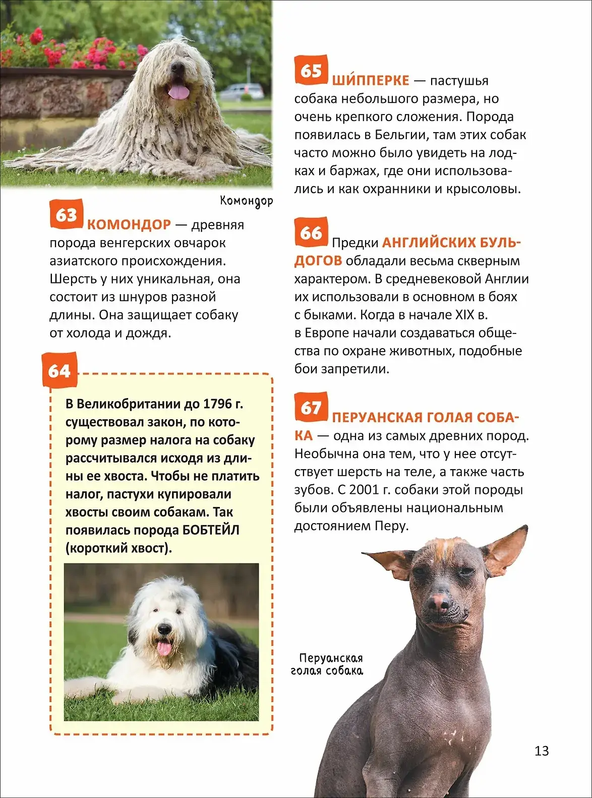 Кошки и собаки. Энциклопедия российского школьника фото книги 5