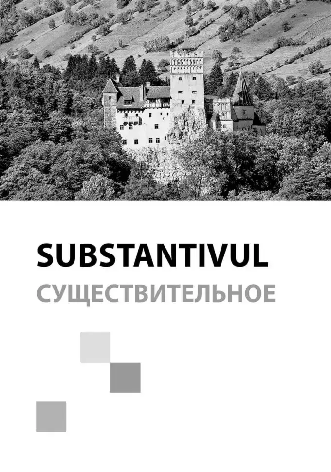 Румынский язык. Сборник упражнений по грамматике. Уровень B1-B2. Современная лексика, проверочный тест, ключи к упражнениям фото книги 2