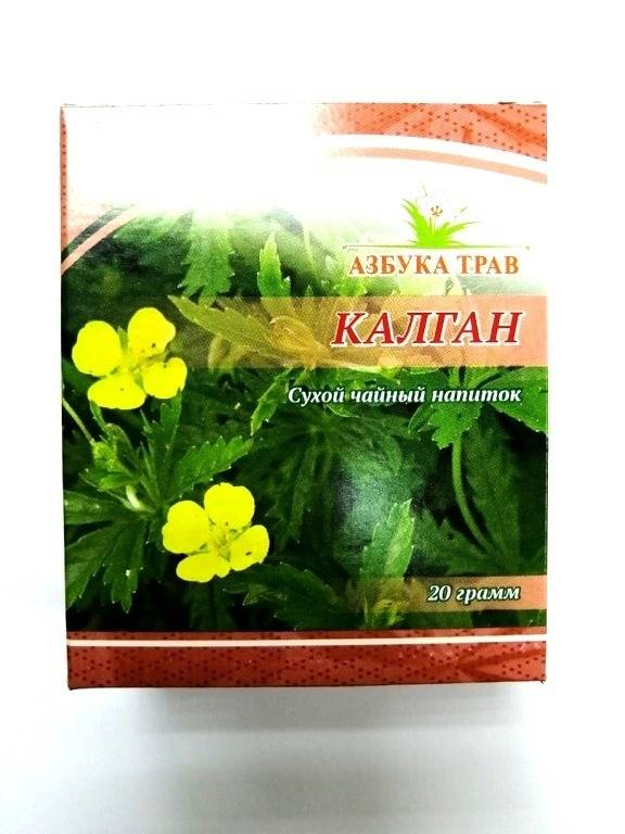 Potentilla Erecta Root (Tormentil) - 20g (Azbuka Trav)
