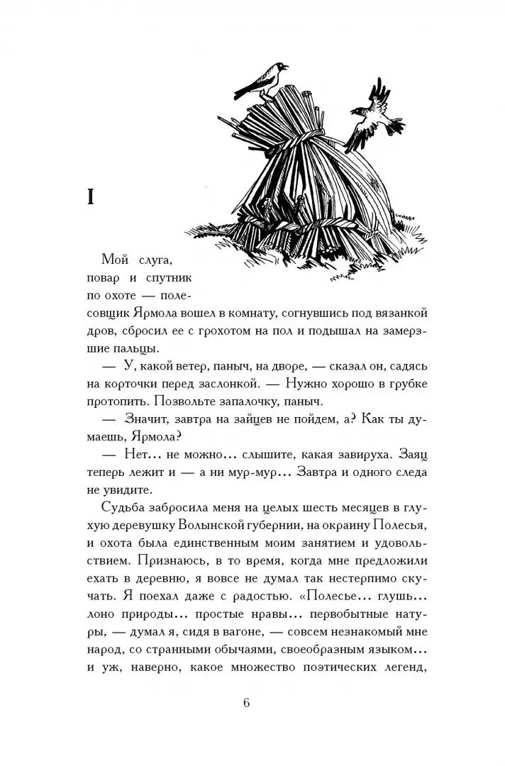 Олеся фото книги 2