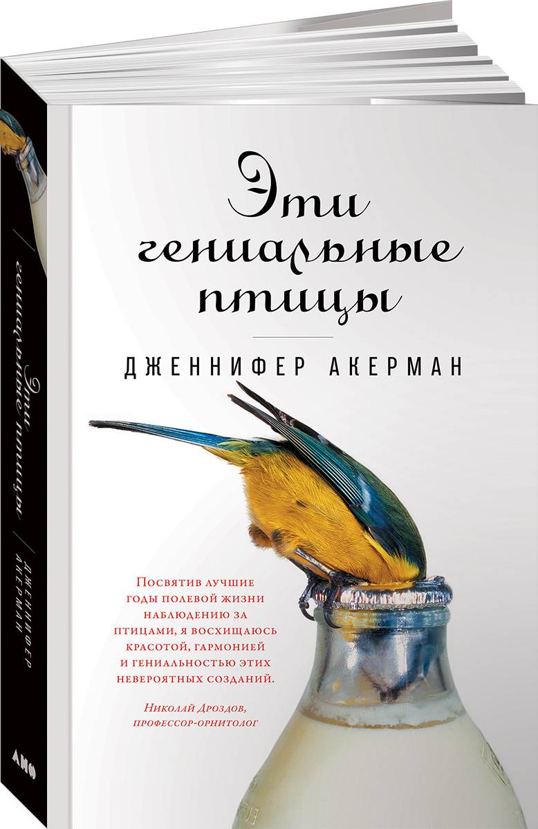 Эти гениальные птицы | The Genius of Birds