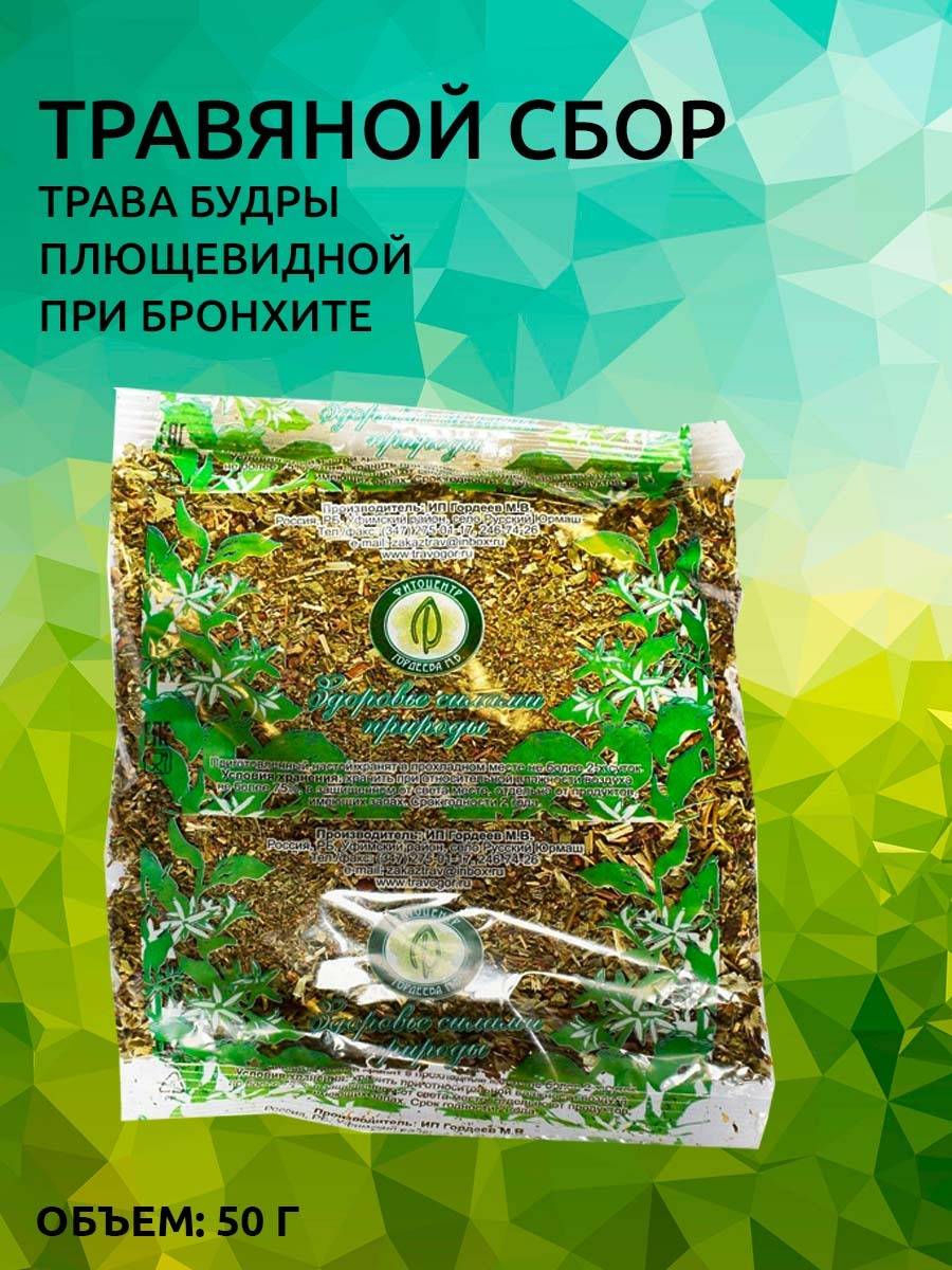 Glechoma Hederacea Herb for Bronchitis & Bile Duct Dyskinesia - 50g