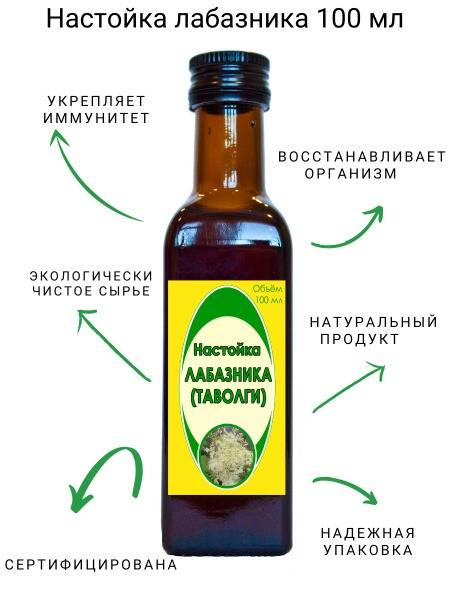 Tavolga (Meadowsweet) Tincture 100ml - Dolgoletova