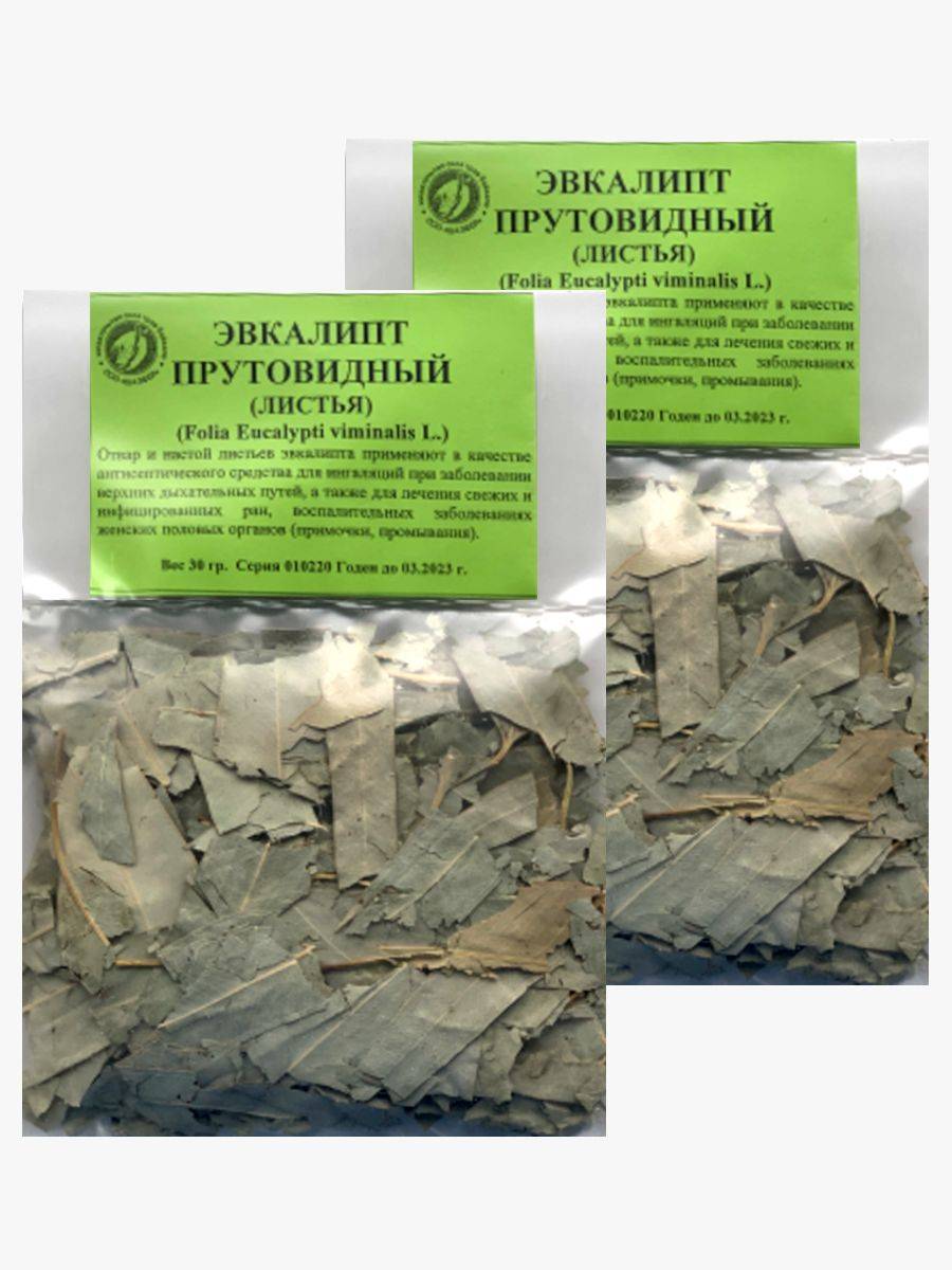 Eucalyptus Leaf Tea Bags (2 Packs) - Baikal Herbal Remedy