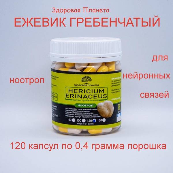 Lion's Mane Mushroom Capsules (120 Count)