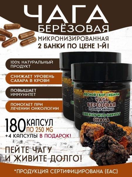 Micronized Chaga Mushroom Capsules for Immunity, Cancer Prevention, & Weight Management