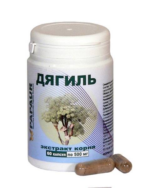 Angelica Root Extract 100%: 60 x 500mg Capsules