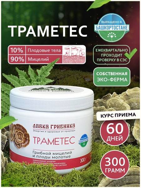 Trametes Mushroom: Identification, Benefits & Uses