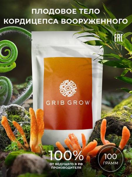 Cordyceps Militaris Fruiting Body (100g) - Grib Grow