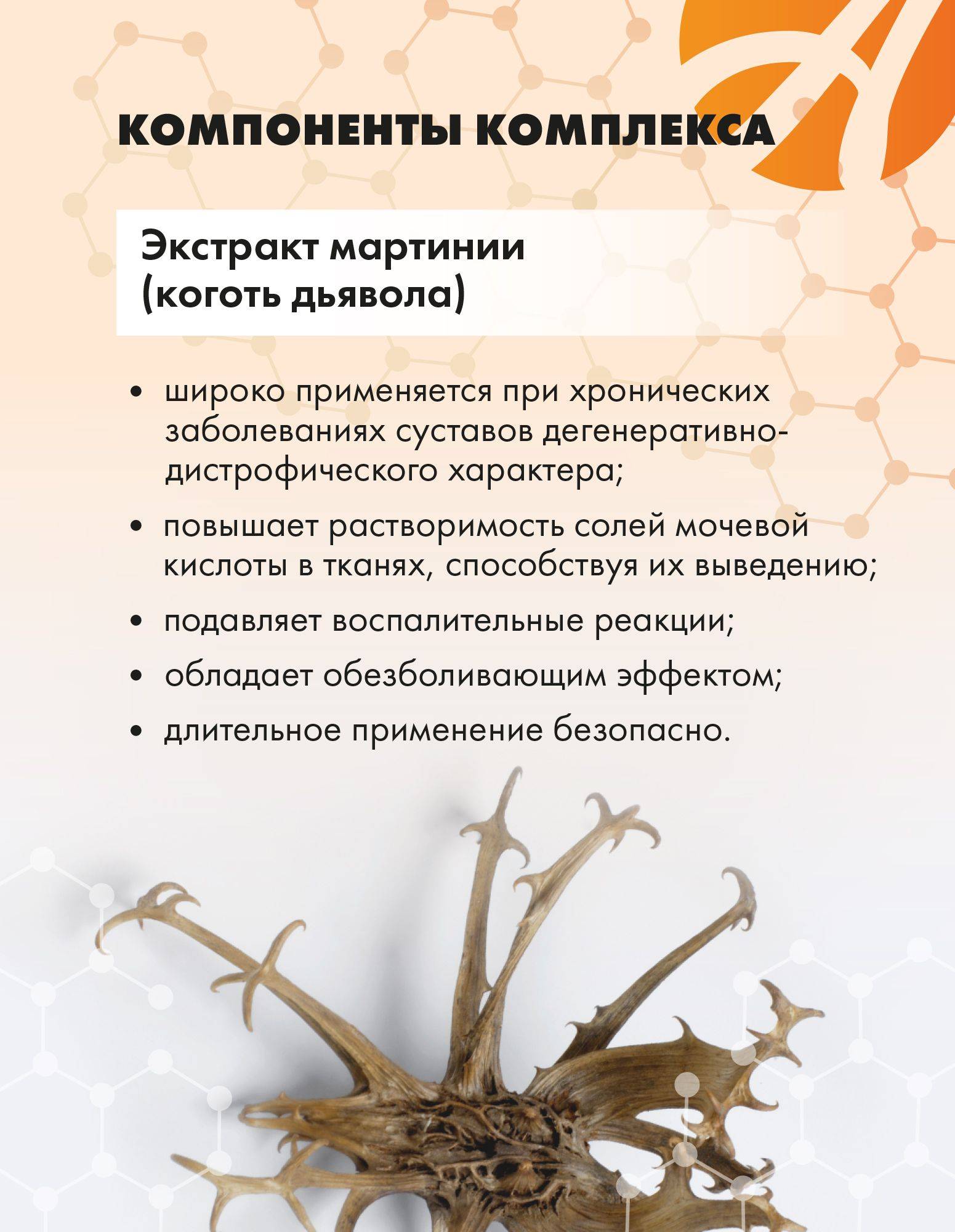 Art Life Antipurin Correction of Purine Metabolism and Blood Uric Acid Support, 120 Capsules #7