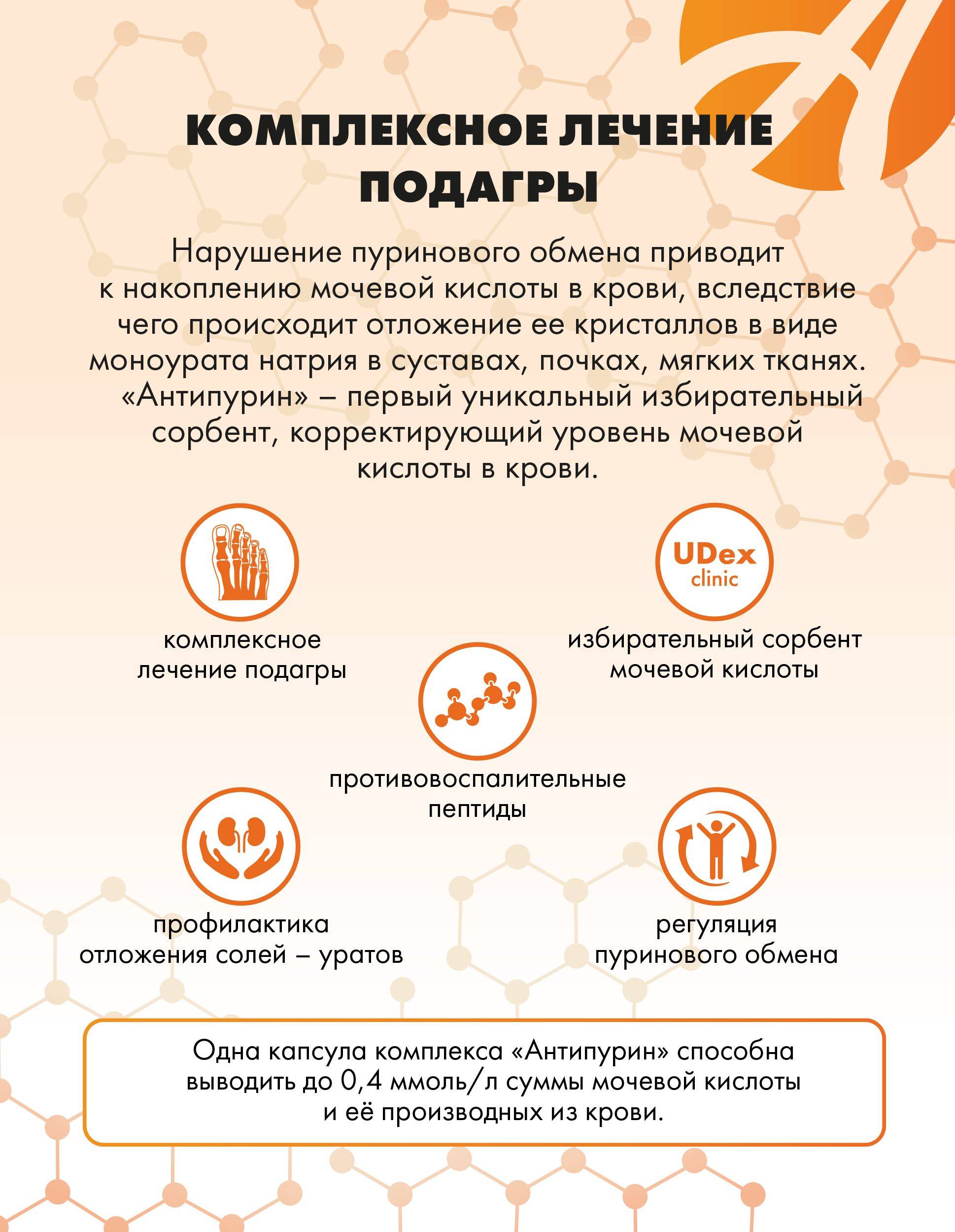 Art Life Antipurin Correction of Purine Metabolism and Blood Uric Acid Support, 120 Capsules #9