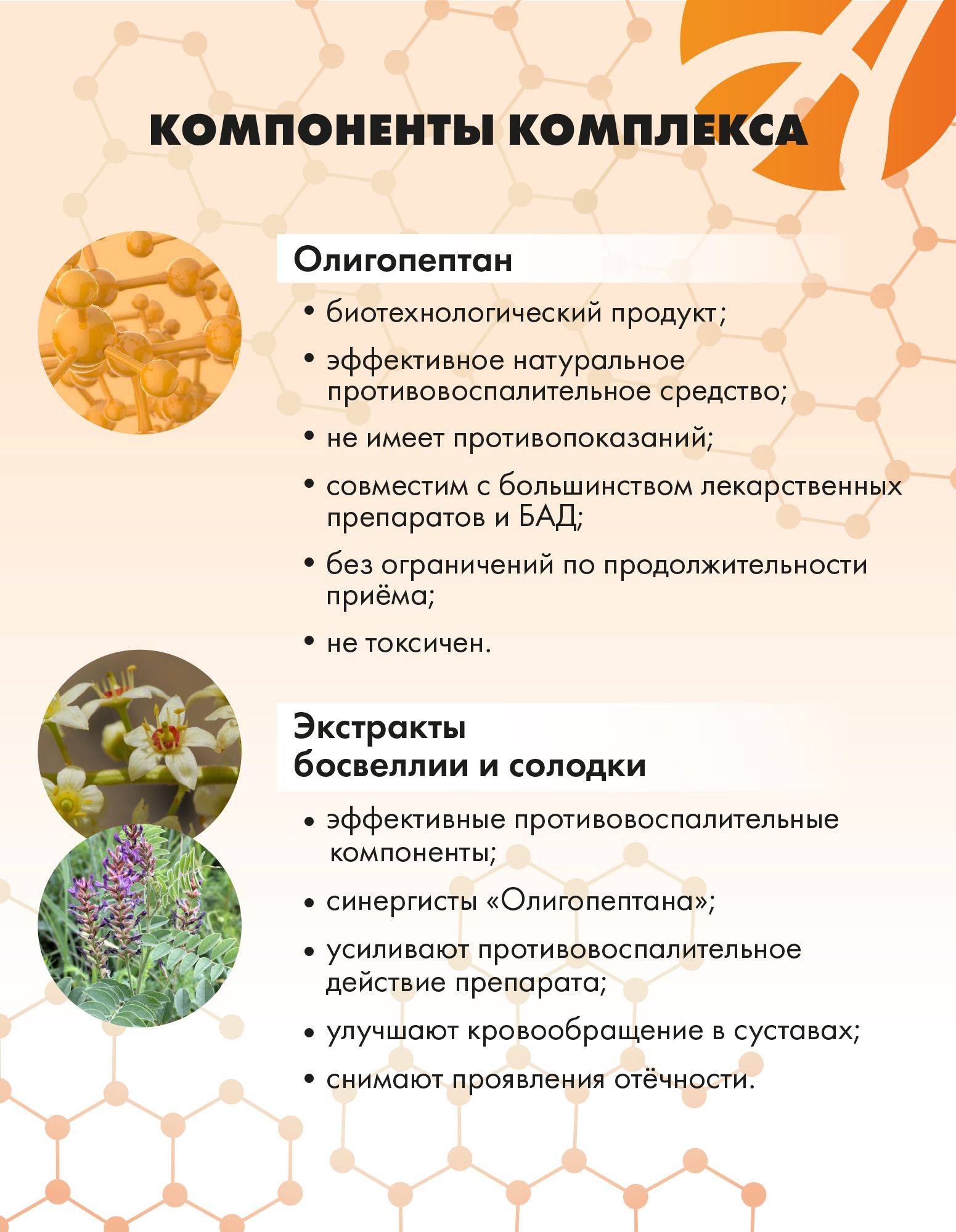 Art Life Antipurin Correction of Purine Metabolism and Blood Uric Acid Support, 120 Capsules #8