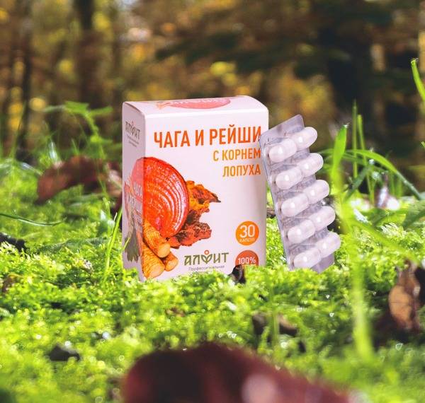 Chaga & Reishi with Burdock Root: Anti-Cancer Herbal Supplement (30 Capsules)