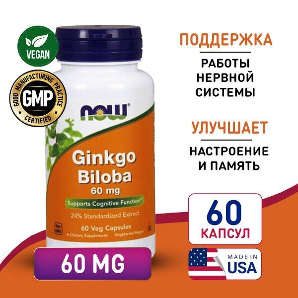 Ginkgo Biloba 60mg (60 Capsules): Powerful Antioxidant for Brain Function