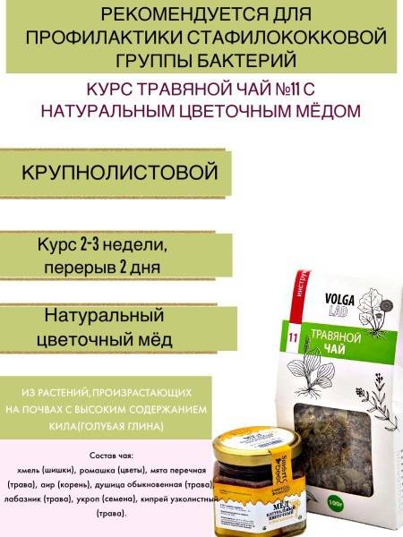 VolgaLadya Herbal Tea #11: Staphylococcus Bacteria Blend with Honey