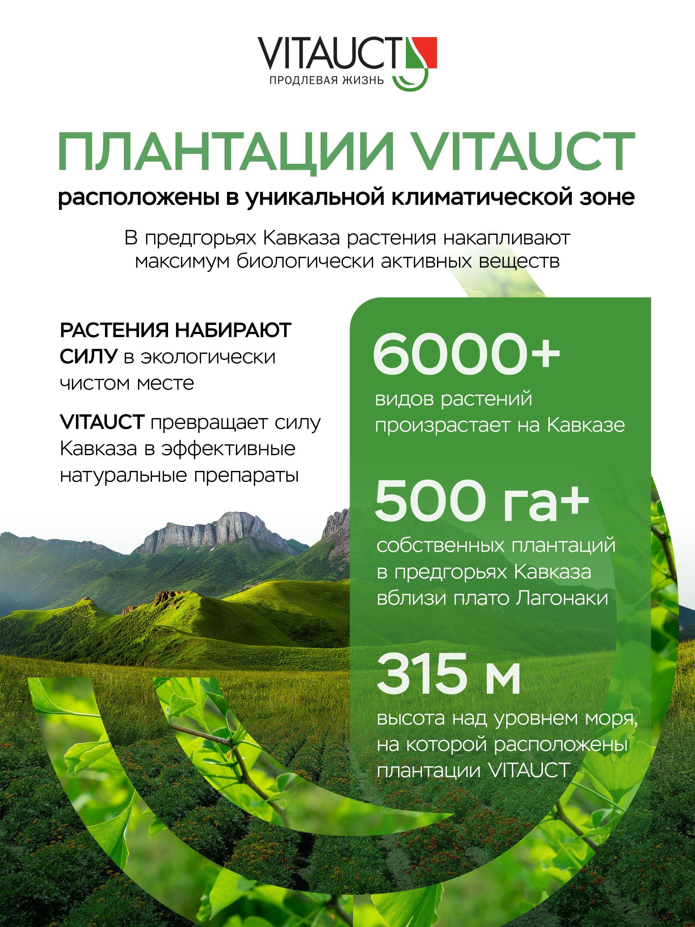 VITAUCT White Borage Advanced 600 mg Thyroid Support Solution, 250 ml #7