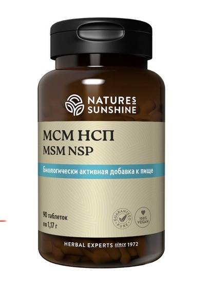 MSM 90 Tablets (1170mg Each) - NSP Supplement