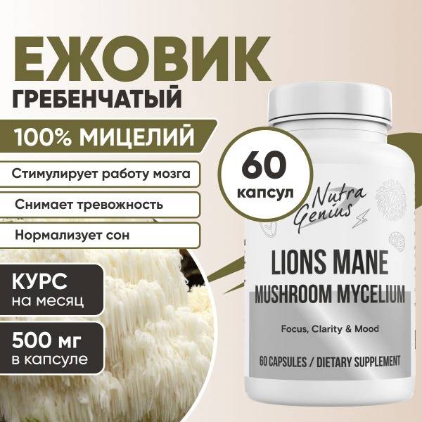 Lion's Mane Mushroom Extract: 60 Capsules
