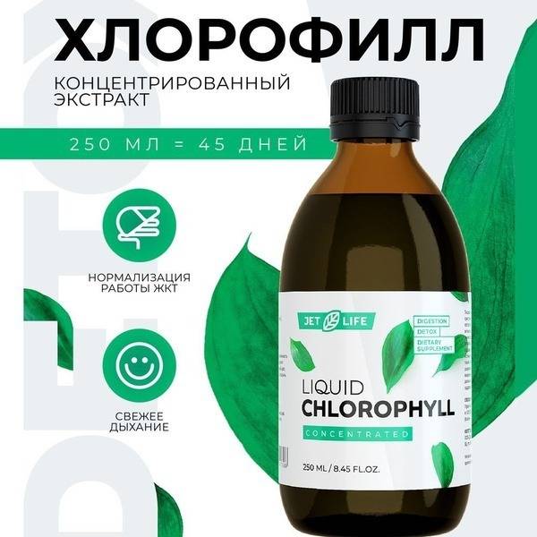 Liquid Chlorophyll Concentrate with Mint - 250ml