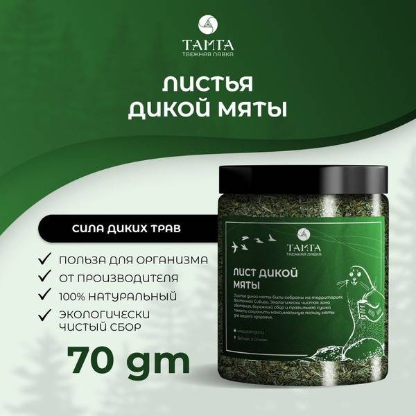 Wild Mint Herbal Tea (70g) - TAMGA