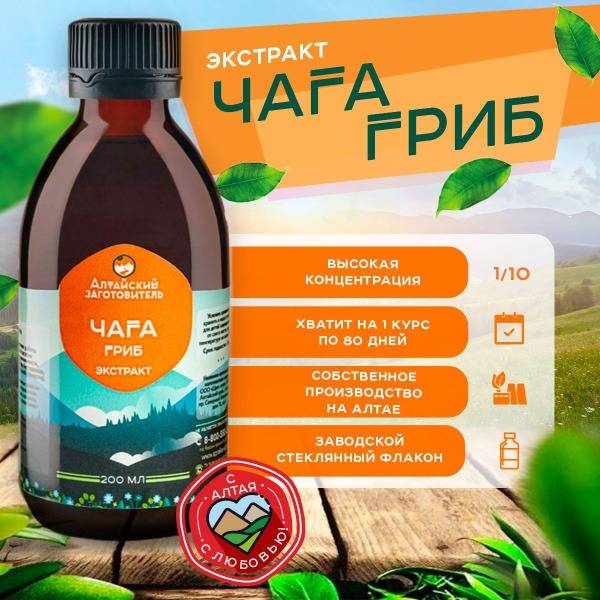 Chaga Extract: 200ml Altai Birch Mushroom Tincture