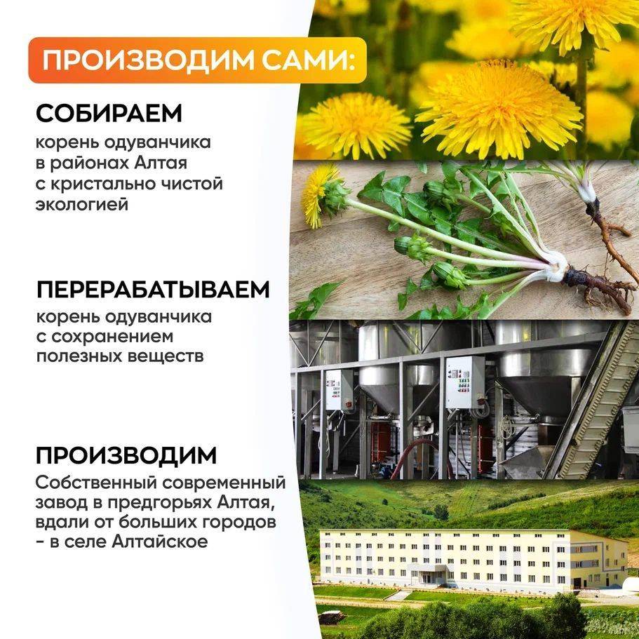 Visterra Taraxacum Root Extract Natural Dietary Supplement Capsules 120 Count #5