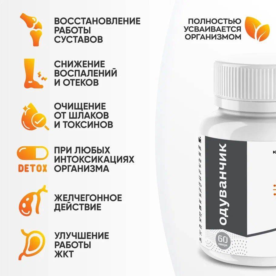 Visterra Taraxacum Root Extract Natural Dietary Supplement Capsules 120 Count #3