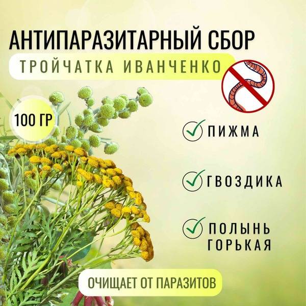 Ivanchenko's Triple Herb Antiparasitic Blend (100g)